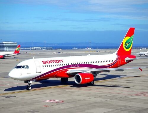 Как купить авиабилет Сомон Эйр и не попасть в неприятности: понятное руководство